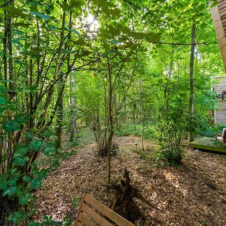 펜션 Lushwood Forest Escape *